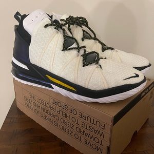 LeBron 18 - Men’s 12 - CQ9283 100